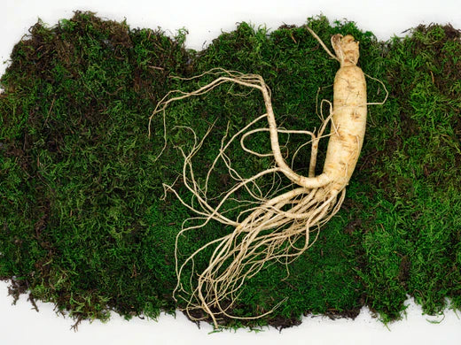 Natuurlijke lustopwekkers: Hoe ingrediënten zoals epimedium en panax ginseng werken